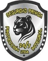 proteccionintegral247.com